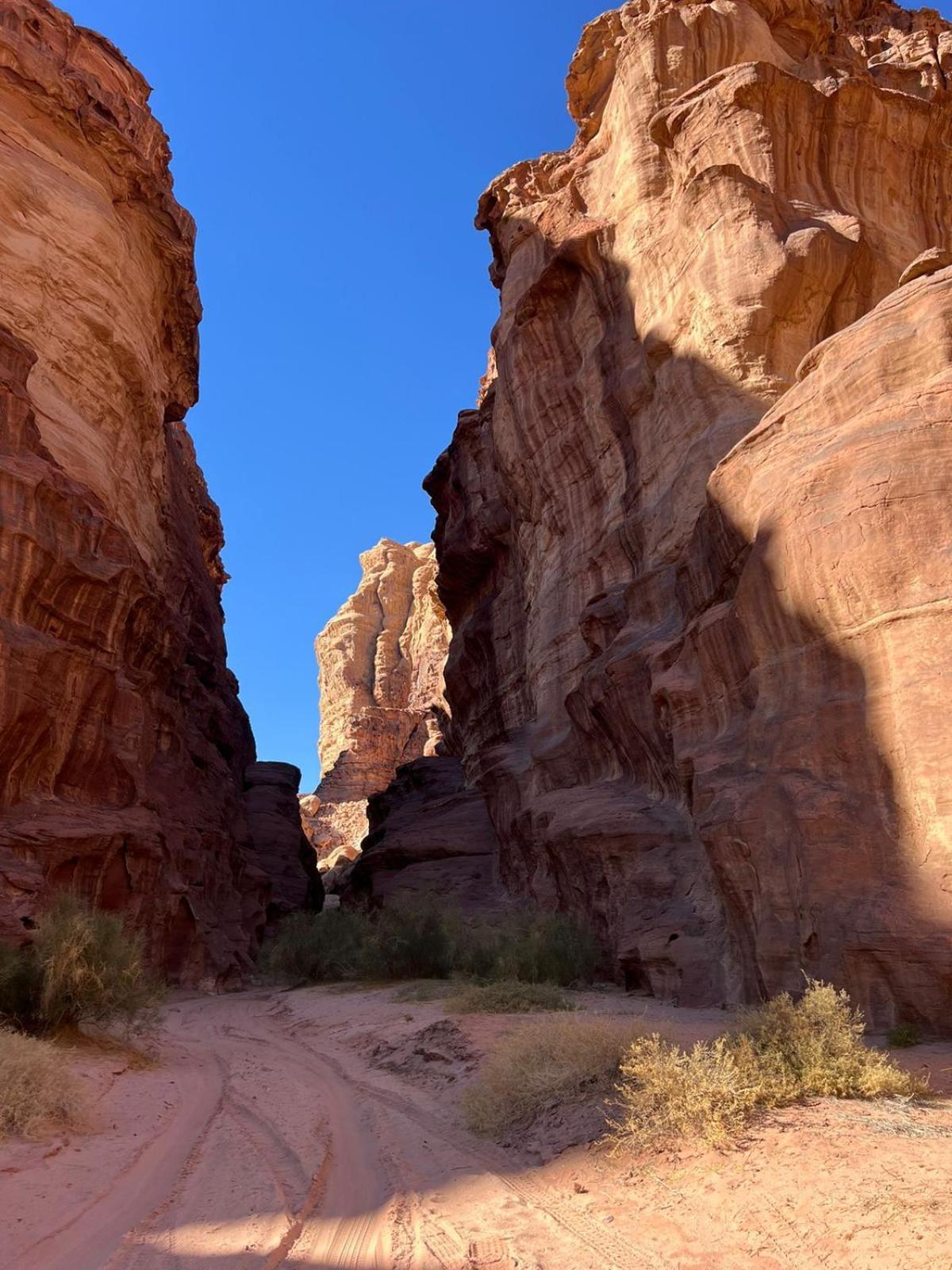 Desert Rock Camp Ram Vadisi Dış mekan fotoğraf